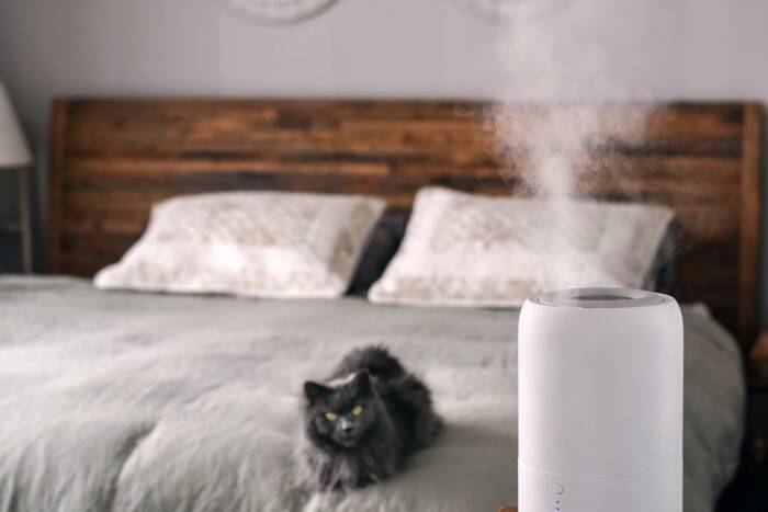 猫の乾燥対策に『加湿器』を使うメリット3選　効果的な使い方や注意すべきポイントも