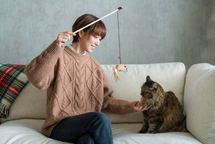 猫があなたに『ベタ惚れ』しているサイン5選　気付いてあげたい仕草や上手な応え方も