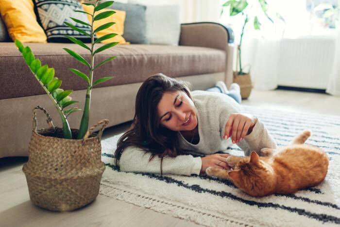 猫があなたに『ベタ惚れ』しているサイン5選　気付いてあげたい仕草や上手な応え方も