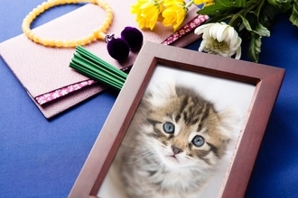 大切な愛猫の『お骨を手元供養』するときの注意点3選　保存方法は？いつまで手元に置いていていい？