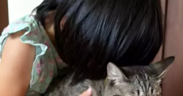 娘に『猫吸いされる猫』と、隣で『次は自分の番』だと察した猫…笑ってしまう『2匹の様子』に7万いいね「諦めてるｗ」「病院の順番待ちｗ」