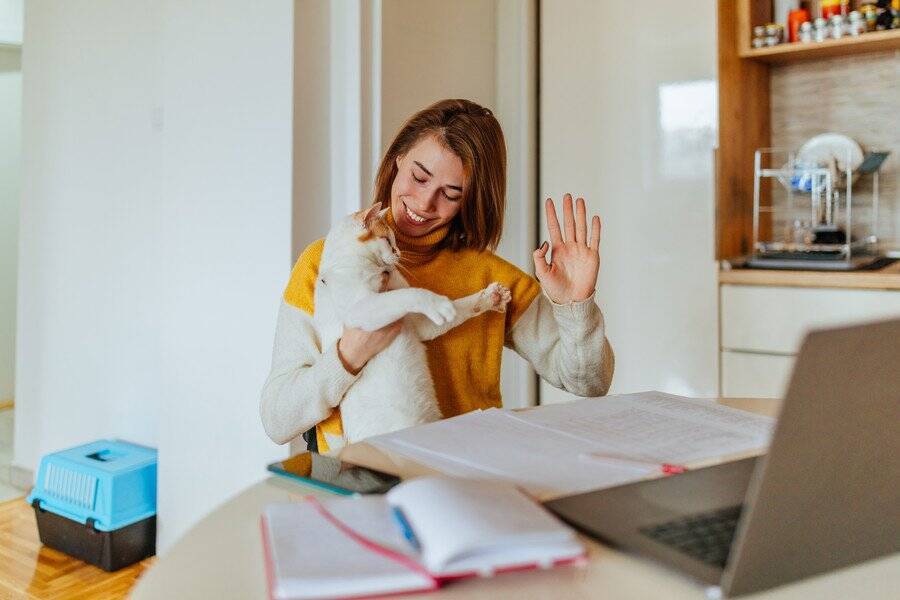 「麻痺があっても、幸せな猫生を与えたい！」愛猫に勇気をもらいながら、保護活動に情熱を注ぐ飼い主さん　米国