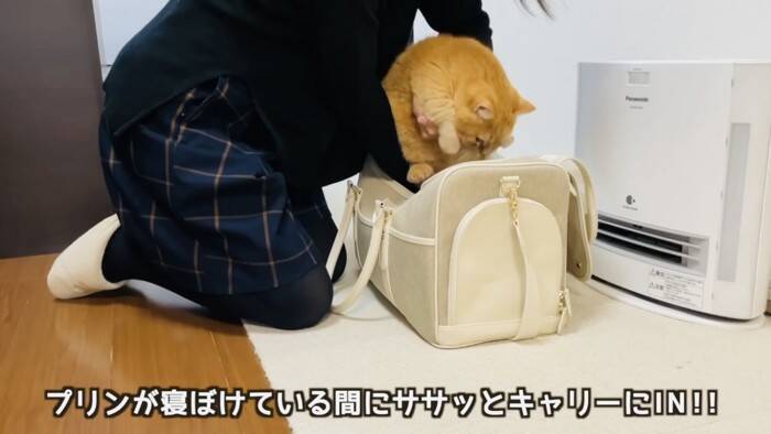 11歳になった猫を動物病院につれて行った結果…とんでもなく尊い『まさかの姿』が5万再生「長生きしてね」「病院は嫌だよねｗ」