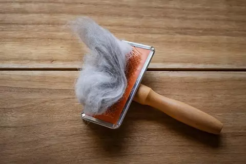 猫の『抜け毛』対策におすすめなアイテム6選　効果的な使い方やお掃除のコツ