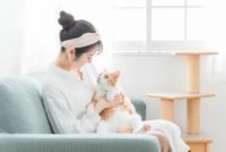 猫に嫌がられない『抱っこ』の方法4選　正しい抱き方のコツからNGポイントまで