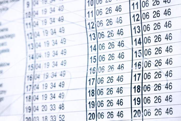 猫を連れて『バス』に乗るときの注意点5つ　守るべきマナーから必要な準備まで