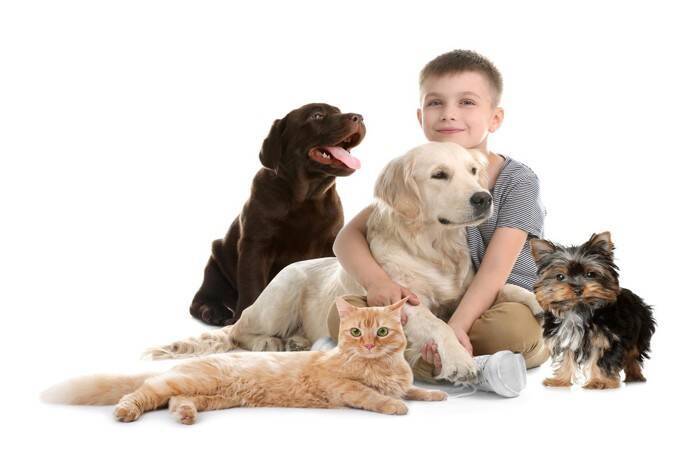 猫に関連する『慣用句・ことわざ』5選　世界中に残る格言や生活へ活かすヒントとは
