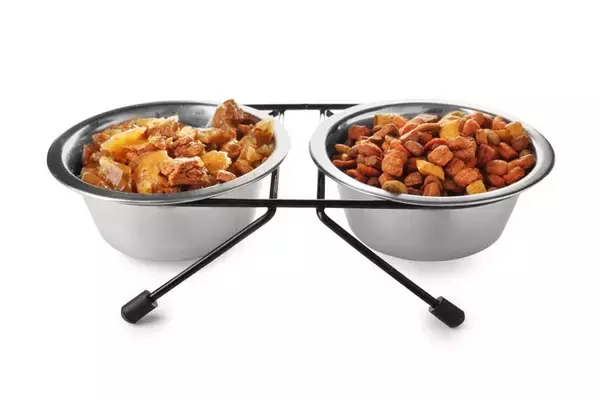 猫の『食欲がない』ときに考えられる原因3つ　病院に行くべき症状や対処法も解説