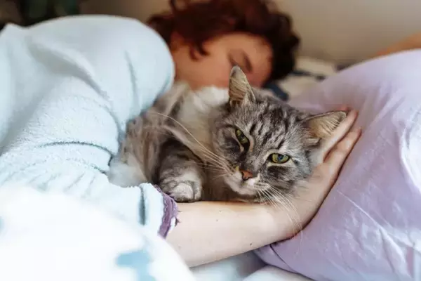 猫と『一緒に寝る』ときの絶対NG行為4つ　危険な事故の可能性や安全を守る工夫