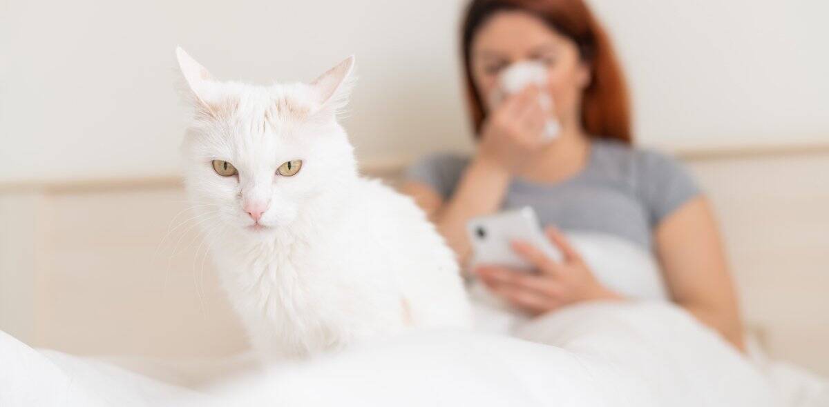 猫と『一緒に寝る』ときの絶対NG行為4つ　危険な事故の可能性や安全を守る工夫