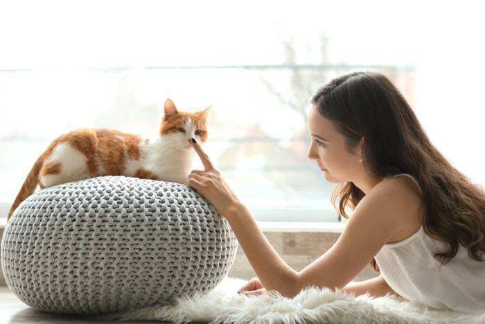 猫の命を奪っている『年代別の3大死因』とは？　年齢によって異なるリスクや予防法も解説