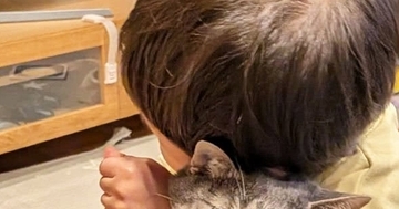 男の子に抱きしめられた猫→『表情』を見たら……笑ってしまう『まさかの光景』に１万いいね「愛が重すぎるのかｗ」「幸せなんだろうねｗ」
