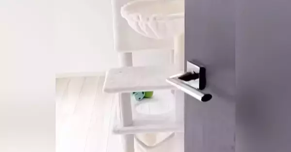 猫がやけに静かだと思い様子を見に行くと、キャットタワーの上で…とんでもなく『可愛い瞬間』が50万再生「たまらんね」「愛おしすぎる」