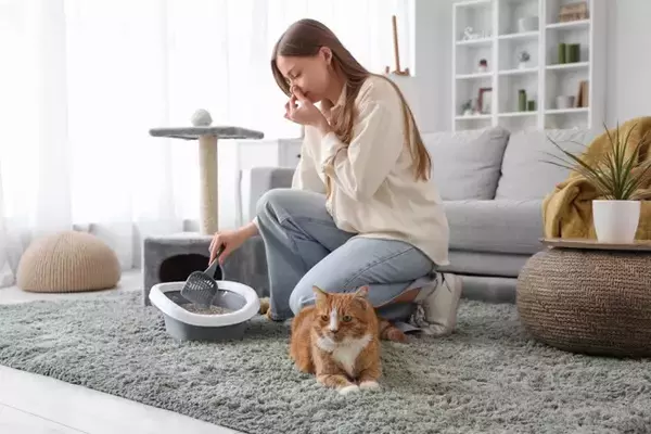 猫の『おしっこ』が臭い理由3つ　病気のサインから消臭のコツまで解説