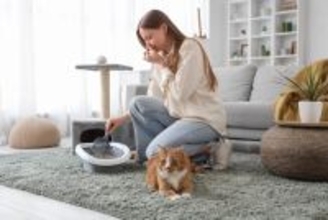 猫の『おしっこ』が臭い理由3つ　病気のサインから消臭のコツまで解説