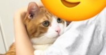 妹のことが好きすぎる猫→お姉ちゃんが『名前を呼ぶ』と…つい笑ってしまう『リアクション』が25万再生「既読スルーで草」「かわいすぎる」