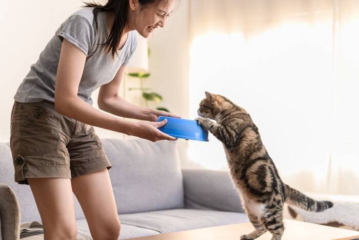 猫がいる暮らしが飼い主に与える『良い変化』4選　心身の健康にもたらす効果をご紹介