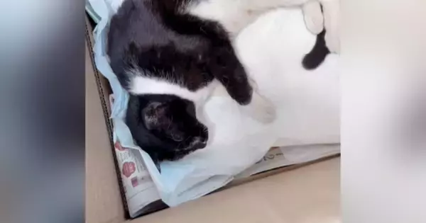 身に覚えのない『警察からの電話』→恐る恐る出てみたら……予想外の『心温まる内容』に「優しさに号泣した」「本当に素敵」と感動の声続出