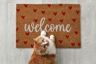 『猫を飼っている家』を訪問するときのマナー3つ　気遣うべき配慮や避けるべきNG行為まで