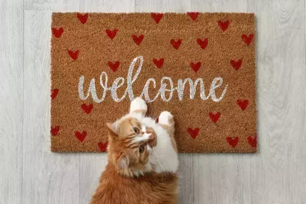 『猫を飼っている家』を訪問するときのマナー3つ　気遣うべき配慮や避けるべきNG行為まで