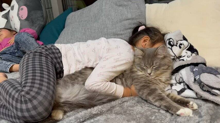 娘にギュッとハグされたまま寝られてしまった猫→次の瞬間…『まさかの光景』に笑顔になる人続出「はぁ〜幸せｗ」「癒された」の声