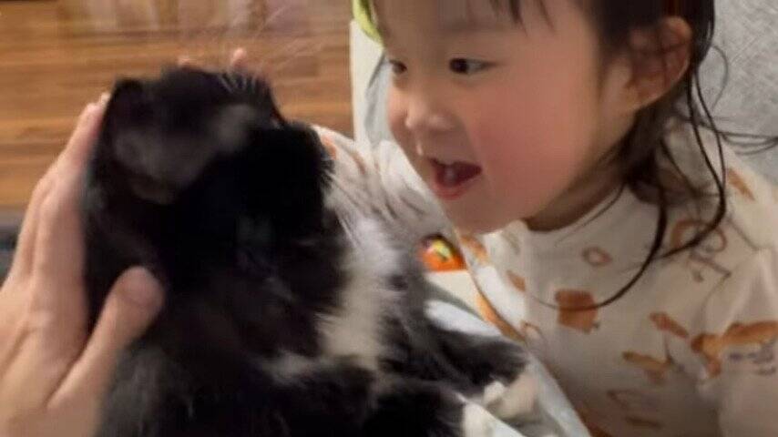 娘にギュッとハグされたまま寝られてしまった猫→次の瞬間…『まさかの光景』に笑顔になる人続出「はぁ〜幸せｗ」「癒された」の声