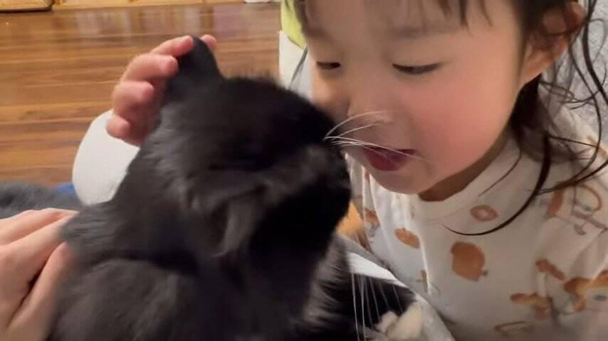 娘にギュッとハグされたまま寝られてしまった猫→次の瞬間…『まさかの光景』に笑顔になる人続出「はぁ〜幸せｗ」「癒された」の声