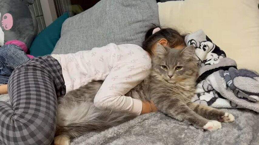 娘にギュッとハグされたまま寝られてしまった猫→次の瞬間…『まさかの光景』に笑顔になる人続出「はぁ〜幸せｗ」「癒された」の声