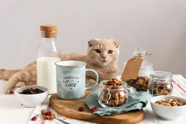 猫に与えてはいけない『身近な食べ物』5選　パンなどに潜むリスクや食べたときの対処法