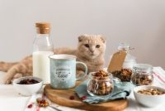 猫に与えてはいけない『身近な食べ物』5選　パンなどに潜むリスクや食べたときの対処法