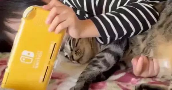 休日、一緒に過ごしていた『猫と息子』→覗き見したら…とんでもなく尊い光景に14万いいね「何気にペアルックだ」「尻尾が幸せを表してるｗ」