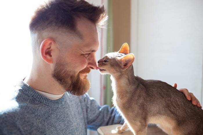 愛猫家がこっそりやっている『人前ではできない行動』5選　あなたもついやっているかも？