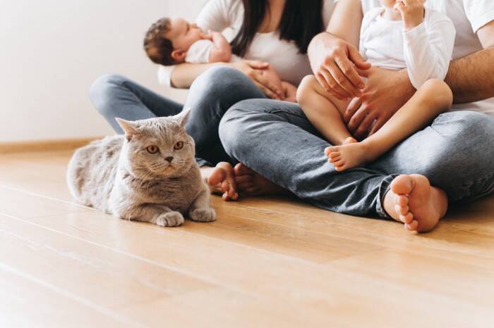 愛猫と暮らす家庭に『赤ちゃん』が産まれたときの注意点5つ　猫は人間の子どもをどう思っているの？