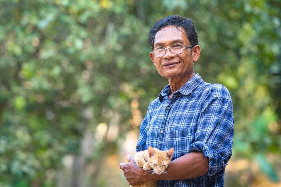 「新しい観光名所か、環境破壊か」 保護猫による「猫島」計画に賛否両論　インドネシア