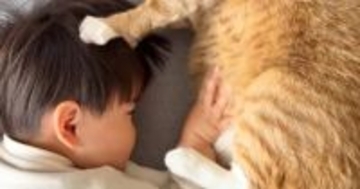 一緒に昼寝をしていた『猫と子ども』がお互いに…ニヤニヤが止まらない『尊すぎる光景』が74万再生「なんちゅう幸せな」「お互いに優しいね」