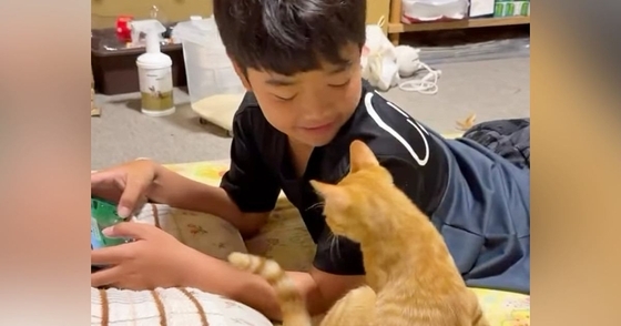 大好きな男の子に『甘える子猫』→予想外の場所でくつろぎ始めて…微笑ましすぎる光景に「幸せが溢れてる」「ふたりとも愛おしい」と反響