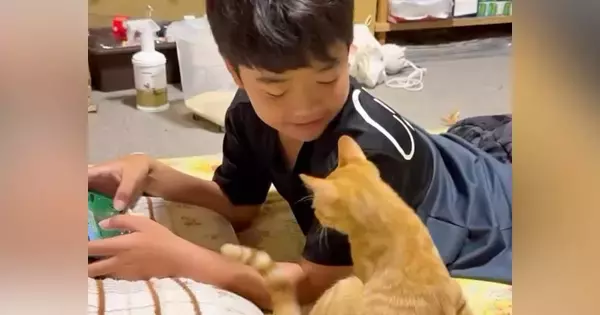 大好きな男の子に『甘える子猫』→予想外の場所でくつろぎ始めて…微笑ましすぎる光景に「幸せが溢れてる」「ふたりとも愛おしい」と反響