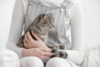 猫を『抱っこの虜』にさせる方法3つ　心掛けるべきポイントからNG行為まで解説