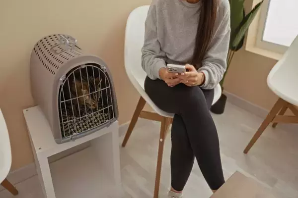 猫の『名前』をつけるときに注意すべきこと5つ　後悔しないためのポイントや名付けのコツ