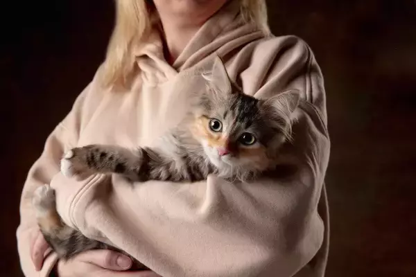 大学図書館で学生を癒すやさしい猫が「非公式マスコット」として大人気に　英国