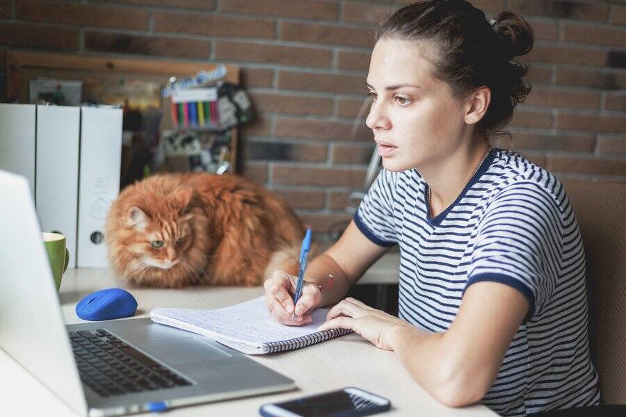 大学図書館で学生を癒すやさしい猫が「非公式マスコット」として大人気に　英国