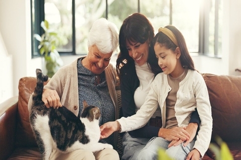 猫を迎えてから『家族になった』と実感する瞬間4選　心を開いている仕草や行動もご紹介