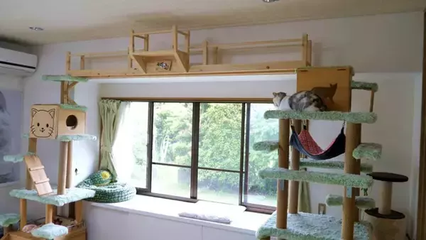 元ボス猫を『ハンモック』の上に移動させてみたら…頬が緩む『とんでもなく尊い光景』に「泣けてくる」「なんて可愛い寝顔」と19万再生