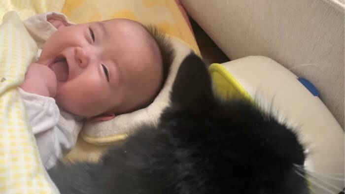 猫が赤ちゃんと『添い寝』した結果…最高の表情を見せる様子が尊すぎると37万1000再生「何時までも続いて欲しい」と反響
