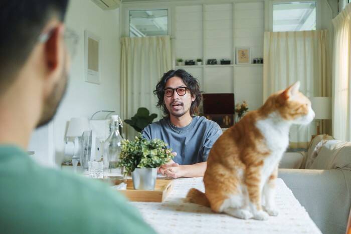 猫が『留守番中』なのにトラブルで帰れなくなったら？不測の事態に備えておくべき対策方法5選