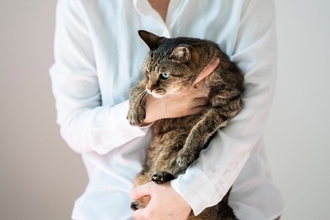 猫に『逃げられやすい人』がやりがちな行動4選　嫌がられてしまう理由や距離を縮めるコツも