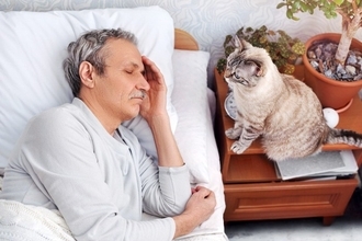 猫が飼い主を『起こしたいとき』に使いがちな方法5選　やめてほしいときに試したい工夫もご紹介