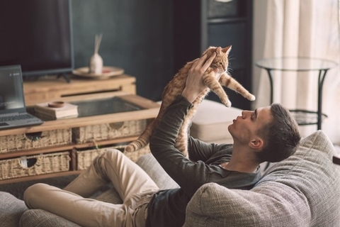 猫と『キス』すると感染するかもしれない病気4選　甘くみてはいけない理由や対策方法まで