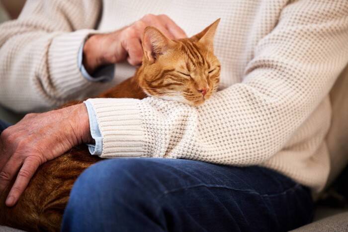 猫と『キス』すると感染するかもしれない病気4選　甘くみてはいけない理由や対策方法まで