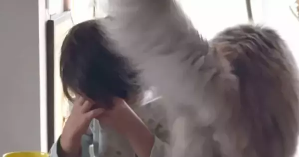 椅子に座って『泣いている息子』に……愛猫が見せた『優しい行動』に胸が熱くなると98万再生「ジーンときた」「きっと分かるんだろうね」